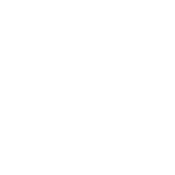 Dotnet